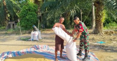 Koptu Sadina Ali, Babinsa Koramil 04/Bendahara Bantu Petani Jemur Padi