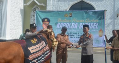 Kapolda Sumsel Berqurban, Kapolres Antar Langsung Sapi ke Mesjid Al-Akbar Minanga Darussalam
