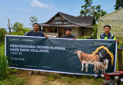 Sambut Iduladha, MDA Salurkan 34 Sapi Kurban untuk 21 Desa di Latimojong