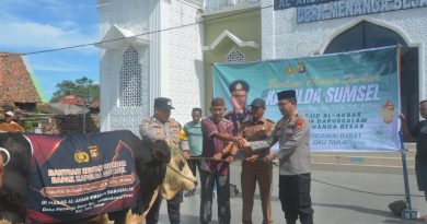 Kapolda Sumsel Berqurban, Kapolres Antar Langsung Sapi ke Mesjid Al-Akbar Minanga Darussalam