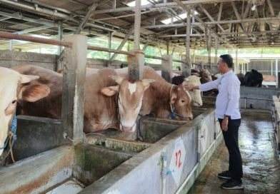 Perketat pengawasan,Dinas Pertanian Kabupaten Cirebon Periksa 11.727 Hewan Kurban Jelang Iduladha 2026