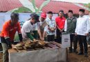 Badan Amil Zakat Nasional (BAZNAS) RI Pilih Kuningan Jadi Program Kurban Berkah Berdayakan Desa di Balai Ternak Mukti Raharja Desa Sayana.