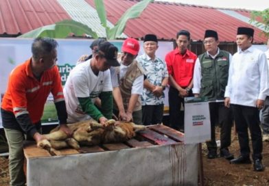 Badan Amil Zakat Nasional (BAZNAS) RI Pilih Kuningan Jadi Program Kurban Berkah Berdayakan Desa di Balai Ternak Mukti Raharja Desa Sayana.