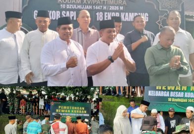 Bikin Geeleng-geleng Kepala, Jumlah Hewan Qurban Kodam Pattimura Tembus 78 Ekor