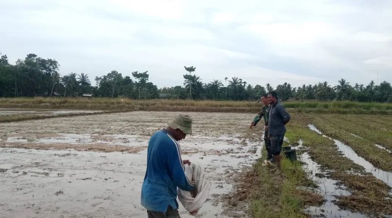 Komsos Dengan Petani, Babinsa Beri Motivasi Serta Semangat Petani