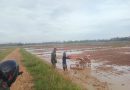 Musim Tanam Tiba, Babinsa Bantu Petani Bajak Sawah Dengan Traktor