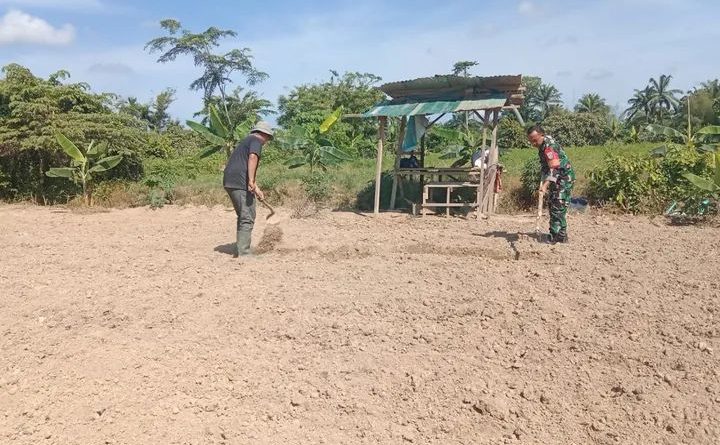 Babinsa Bantu Petani Siapkan Lahan Tanaman Kangkung