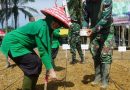 Bupati Tamiang Hadiri Kegiatan Penaman Jagung Perdana dilahan Kompi Produksi