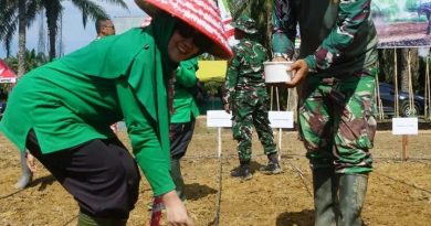 Bupati Tamiang Hadiri Kegiatan Penaman Jagung Perdana dilahan Kompi Produksi