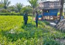 Melalui Komsos, Babinsa Koramil 03/Manyak Payed Dukung Kegiatan Petani Semangka Desa Binaan