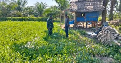 Melalui Komsos, Babinsa Koramil 03/Manyak Payed Dukung Kegiatan Petani Semangka Desa Binaan