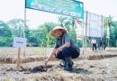 Dukung Ketahanan Pangan, Bupati Lakukan Penanaman Jagung Program Kodim 0117/Aceh Tamiang