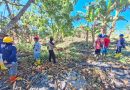Berita Menarik : Menakar Masa Depan Lermatang: Meluruskan Status Hukum Lahan 662 Hektare