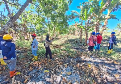 Berita Menarik : Menakar Masa Depan Lermatang: Meluruskan Status Hukum Lahan 662 Hektare