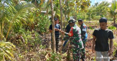 Sinergi Keamanan Dan Ekonomi : Peran TNI dalam Akselerasi PSN Blok Masela Untuk Kesejahteraan Masyarakat