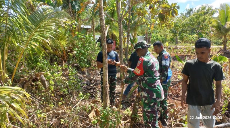 Sinergi Keamanan Dan Ekonomi : Peran TNI dalam Akselerasi PSN Blok Masela Untuk Kesejahteraan Masyarakat