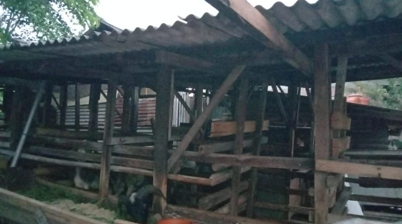 Program Swasembada Pangan di Desa Setia Mekar Dipertanyakan, Peternak Keluhkan Minimnya Keterbukaan   