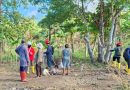 Persiapan Matang, Blok Masela Segera Dikerjakan
