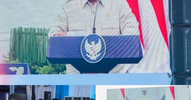 Presiden Prabowo Resmikan Groundbreaking PSN Blok Masela Secara Daring