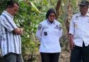 Bupati Pangandaran pantau bahan sumur bor di Desa Bagolo