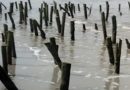 Kejari Bengkalis Periksa Pejabat PUPR Riau Terkait Dugaan Korupsi Proyek Pengaman Pantai Ketapang Rupat