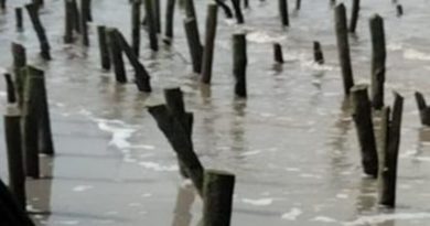 Kejari Bengkalis Periksa Pejabat PUPR Riau Terkait Dugaan Korupsi Proyek Pengaman Pantai Ketapang Rupat