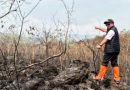 Kebakaran Hutan dan Lahan (Karhutla) di Kawasan Taman Nasional Ciremai (TNGC) Luas Terbakar Mencapai 40 Hektar.