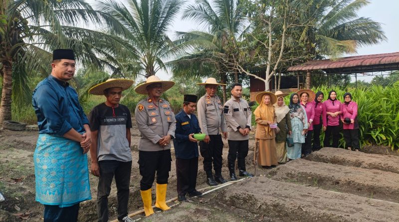 Polsek Tanjungpinang Kota Tanam Jagung Serentak, Dukung Swasembada Pangan Nasional