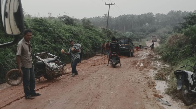 Akses Vital Aek Raso–Torganda Rusak Parah, Warga Desak Pemkab Labusel Segera Bertindak