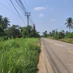 DIDUGA RUAS JALAN NASIONAL LABUAN–CIBALIUNG DISOROT, SEMAK BELUKAR DAN LUBANG ANCAM KESELAMATAN PENGGUNA JALAN. 