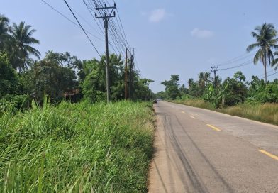 DIDUGA RUAS JALAN NASIONAL LABUAN–CIBALIUNG DISOROT, SEMAK BELUKAR DAN LUBANG ANCAM KESELAMATAN PENGGUNA JALAN. 