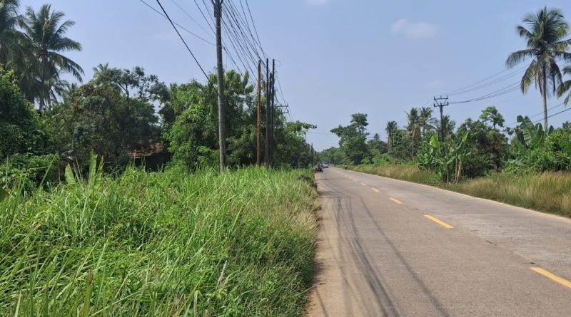 DIDUGA RUAS JALAN NASIONAL LABUAN–CIBALIUNG DISOROT, SEMAK BELUKAR DAN LUBANG ANCAM KESELAMATAN PENGGUNA JALAN. 