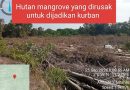DPP LSM-KPK Riau Soroti PT Marita Makmur Jaya: Diduga Rusak 3 KM Mangrove Pulau Rupat dan Buang Limbah PKS ke Laut