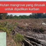 DPP LSM-KPK Riau Soroti PT Marita Makmur Jaya: Diduga Rusak 3 KM Mangrove Pulau Rupat dan Buang Limbah PKS ke Laut