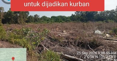 DPP LSM-KPK Riau Soroti PT Marita Makmur Jaya: Diduga Rusak 3 KM Mangrove Pulau Rupat dan Buang Limbah PKS ke Laut