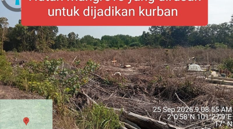 DPP LSM-KPK Riau Soroti PT Marita Makmur Jaya: Diduga Rusak 3 KM Mangrove Pulau Rupat dan Buang Limbah PKS ke Laut