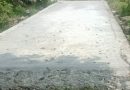 KETEBALAN PEMBANGUNAN JALAN BETONISASI DESA PAMIJAHAN JADI SOROTAN*